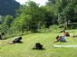 Foto impressie | Yoga en reinigende groene week: wandel17.jpg