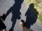 Foto impressie | Cursus Fotografie - Wandelen: lopende_schaduwen.jpg
