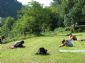 Foto impressie | Cursus Yoga - Wandelen: wandel17.jpg